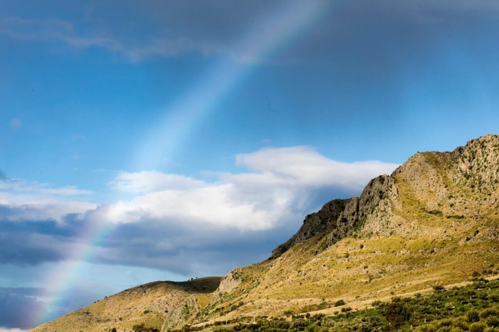 Immagine di copertina dell'annuncio