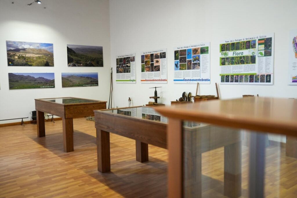 Immagine di copertina dell'annuncio