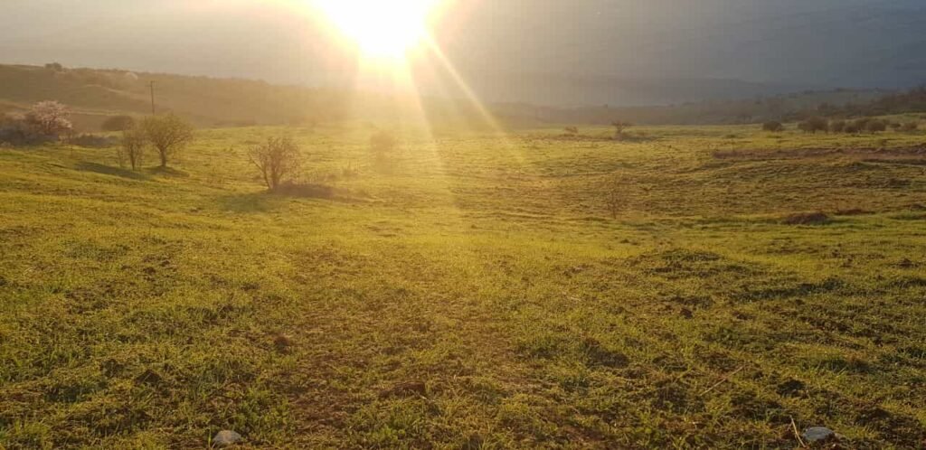 Immagine di copertina dell'annuncio